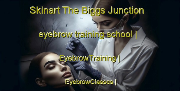 Skinart The Biggs Junction eyebrow training school | EyebrowTraining | EyebrowClasses | SkinartTraining-United States